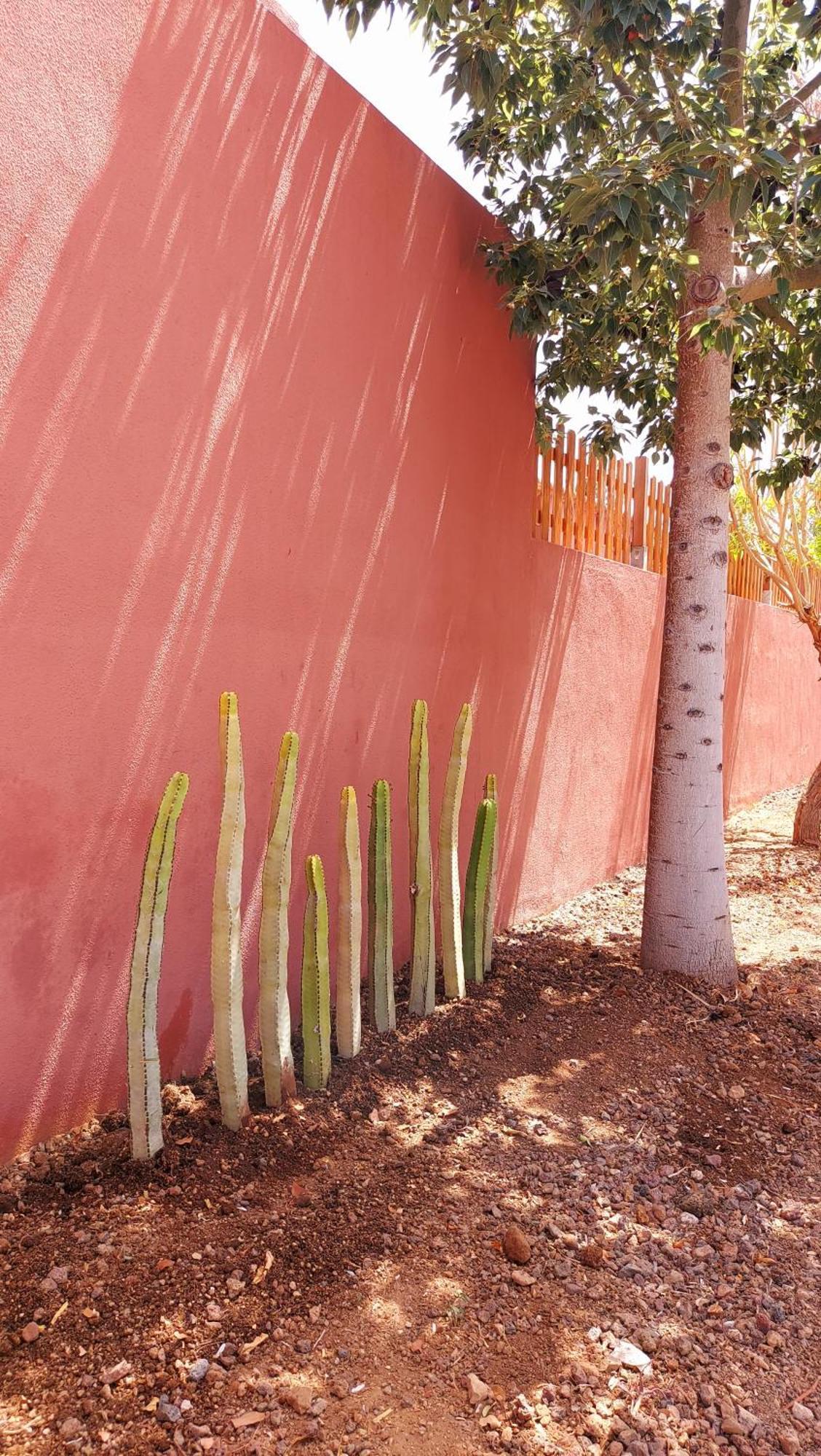 Adosado La Tabaiba Vila San Miguel de Abona Exterior foto
