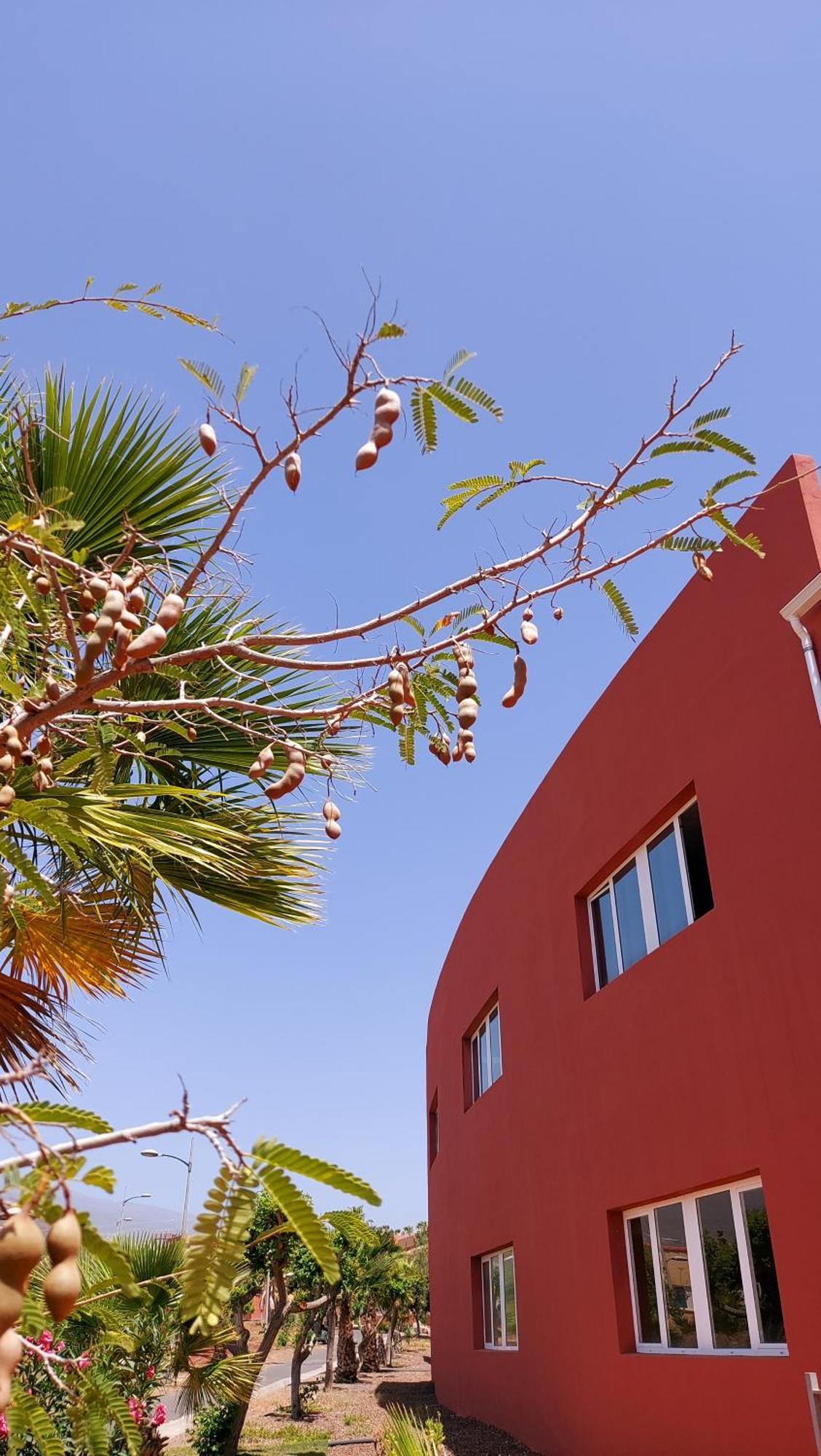 Adosado La Tabaiba Vila San Miguel de Abona Exterior foto